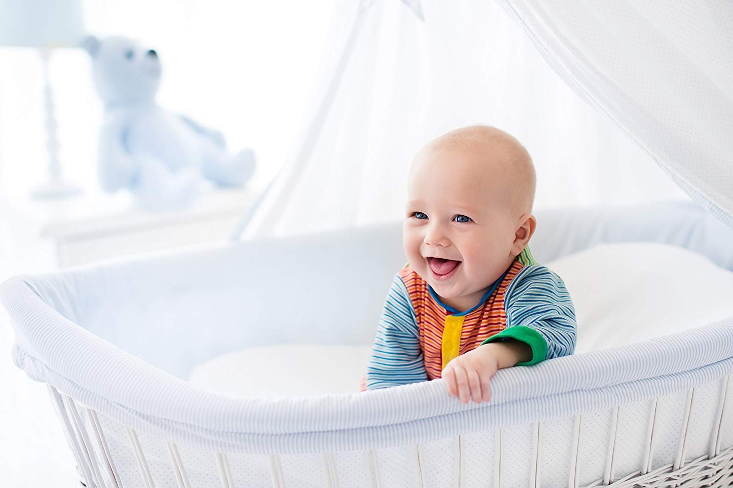 Safe and Sound 2 Pack Crib Mattress Protector