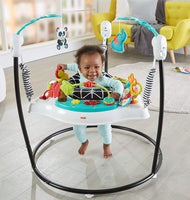 Fisher-Price Animal Wonders Jumperoo