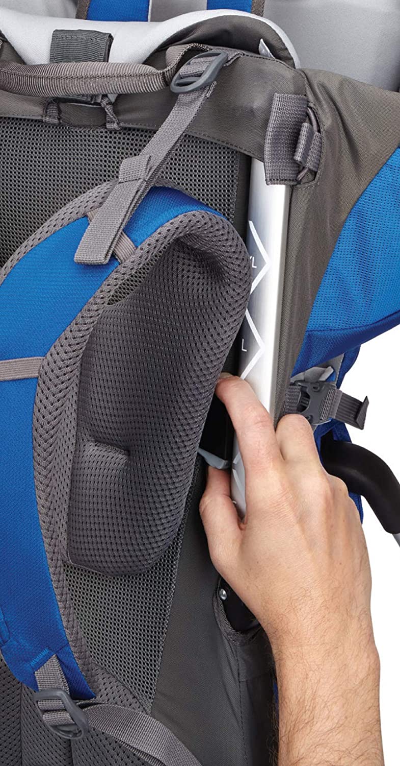 Thule Sapling Child Carrier