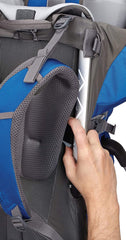 Thule Sapling Child Carrier