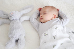 aden + anais Swaddle Blanket, Boutique Muslin Blankets for Girls & Boys, Baby Receiving Swaddles, Ideal Newborn & Infant Swaddling Set