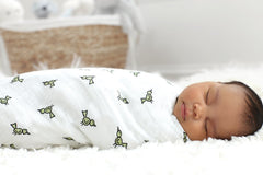aden + anais Swaddle Blanket, Boutique Muslin Blankets for Girls & Boys, Baby Receiving Swaddles, Ideal Newborn & Infant Swaddling Set
