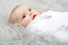 aden + anais Swaddle Blanket, Boutique Muslin Blankets for Girls & Boys, Baby Receiving Swaddles, Ideal Newborn & Infant Swaddling Set